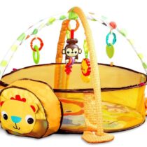 Mata Edukacyjna – Lew